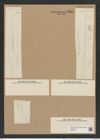 Rhizosolenia setigera Brightw. (de-Toni-Nr.: Genus 114, Species 3301) Zeichnungen Sammlung Grunow Nr. 6684 (NHMW-BOT-W0375481)